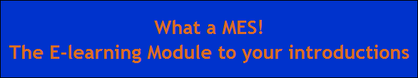 What a MES!
The E-learning Module to your introductions
