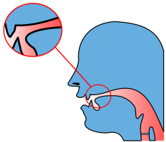 Position of the tongue during the articulation of the alveolar and palate-alveolar fricatives [s], [z], [&#643;] and [&#658;]